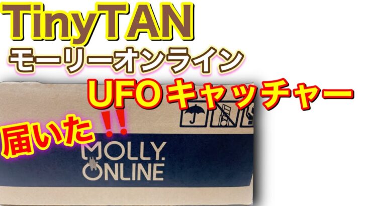 【TinyTAN】UFOキャッチャー!!何が届いたの？モーリーオンライン