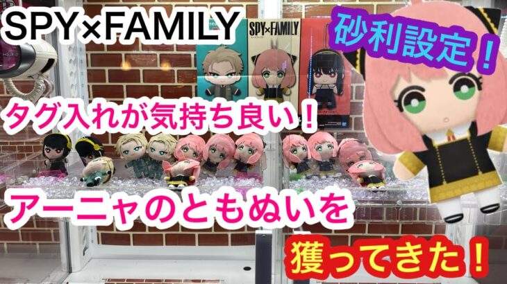 [SPY×FAMILY]タグ入れが楽しい！大人気アーニャのともぬい獲ってきた！【クレーンゲーム】【JapaneseClawMachine】【인형뽑기】　【日本夾娃娃】