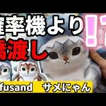 【クレーンゲーム】橋渡し 新作サメにゃんぬいぐるみ攻略！【クレーンゲーム UFOキャッチャー　末広がり 攻略】