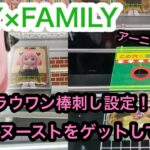 [SPY×FAMILY]大人気アーニャのヌースト！末広設定とラウンドワンの棒刺し設定で獲ってきた！【クレーンゲーム】【JapaneseClawMachine】【인형뽑기】　【日本夾娃娃】