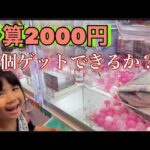 【クレーンゲーム】予算2000円　SEGAでUFOキャッチャーに挑戦！景品獲得できるか！？