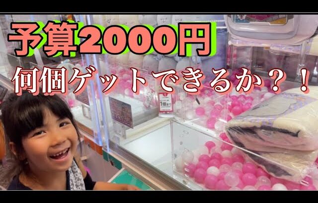 【クレーンゲーム】予算2000円　SEGAでUFOキャッチャーに挑戦！景品獲得できるか！？