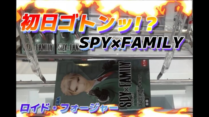 【クレーンゲーム】人気の”SPY×FAMILY”初日ゴトンッ！今回は何手で獲得!?