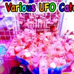 Various Claw Machine in Japan !! UFO Catchers Wins!! Cute Prizes ! Game , Anime ,  UFOキャッチャー
