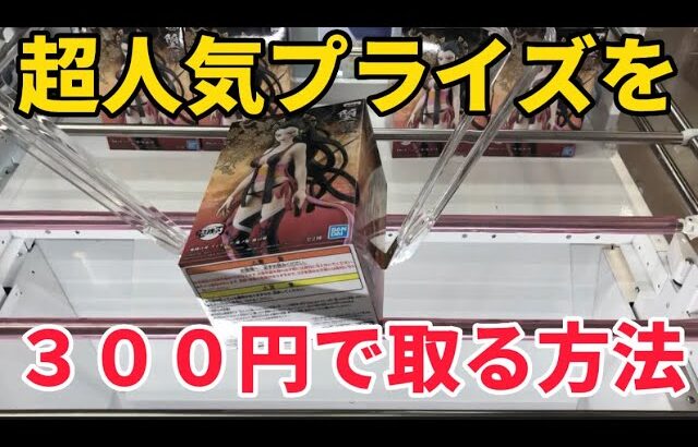 【クレーンゲーム】超人気プライズを３００円で取る方法