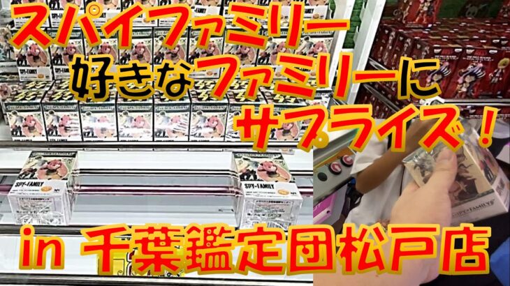 【クレーンゲーム】アーニャが欲しい！千葉鑑定団松戸店で困っていた家族を救ってみた！ スパイファミリー プチラマ フィギュア 橋渡し