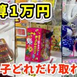 【クレーンゲーム】1万円でどれだけお菓子を取れるのかリベンジしてみた！［UFOキャッチャー］