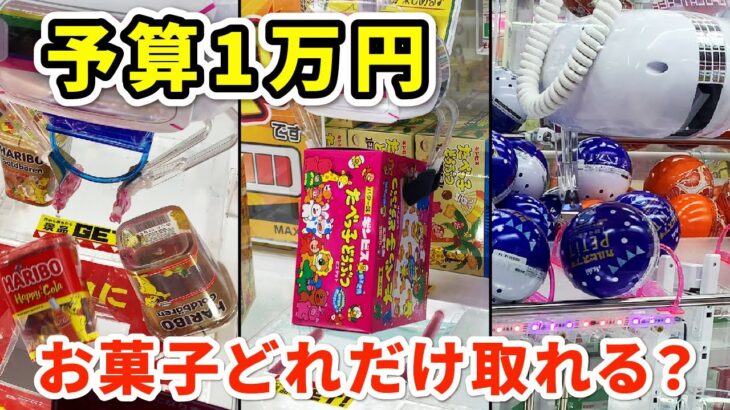 【クレーンゲーム】1万円でどれだけお菓子を取れるのかリベンジしてみた！［UFOキャッチャー］