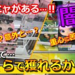 【挑戦】大人気アーニャのQposketがまだある…！？果たして闇なのか…？あれ…意外と…！？＜クレーンゲーム攻略＞