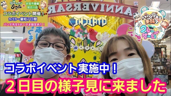 UFOキャッチャー おたいち加古川店コラボイベント２日目の様子を見に来ました！【パンダ先生夫婦クレーンゲーム】