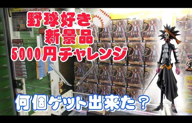 【チャレンジ】クレーンゲーム新景品を5000円以内に何個ゲット出来るのか？