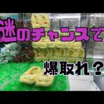 【大人気景品】なのにこんなことあるんだ…！