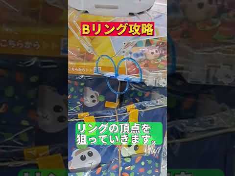 Bリング設定攻略してモルカーのバッグGET！【クレーンゲーム　ufoキャッチャー clawmachine モルカー 】