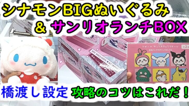 【サンリオ 橋渡し設定攻略のコツはこれ！】クレーンゲーム シナモンBIGぬいぐるみ・サンリオランチBOX（マイメロ＆クロミ、サンリオキャラクターズランチボックス）