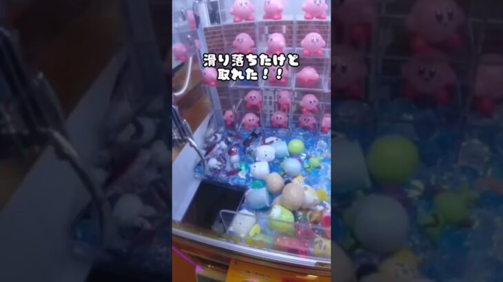 【クレーンゲーム攻略】ゲーセンの三本爪ですみっコぐらしをゲームした #shorts