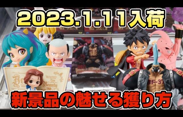 【クレーンゲーム】埼玉で獲れると有名なゲームセンター「万代書店川越店」で2023年クレゲ初めやってみた