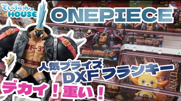 倉庫系】大人気！ONE PIECE新作プライズDXFフランキー【クレーンゲーム