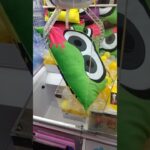 【スプラトゥーン】クッション(ROUND1)　 #クレーンゲーム #スプラトゥーン3 #ufoキャッチャー #shorts