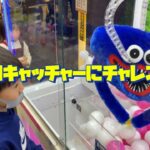 兄妹で攻略できるか！？久々のUFOキャッチャーにチャレンジ！