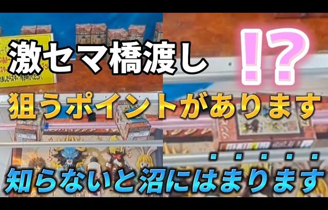 【クレーンゲーム】最後まで見て！激セマ橋渡しは〇〇を狙え！【 ufoキャッチャー 橋渡し 攻略　ベネクス川崎店  】