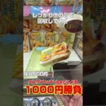 1000円持ってゲーセンでお菓子を狙ったら何個取れるの？ #クレーンゲーム #お菓子 #ufoキャッチャー