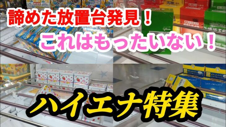 [クレーンゲーム] 放置するのはもったいない！続からプレーしてみた！ハイエナ特集