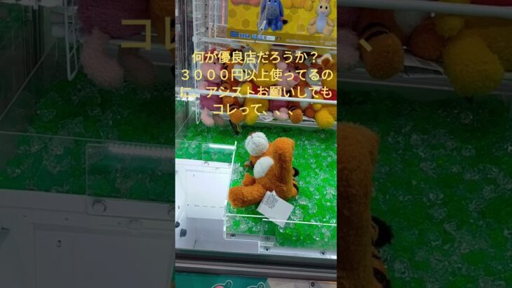 【クレーンゲーム】世間では優良店と呼ばれているが、設定めちゃくちゃなくせに、アシストがコレとは？金額もめちゃくちゃ使っているのに。キレそうになった。 #ufoキャッチャー #クレーンゲーム