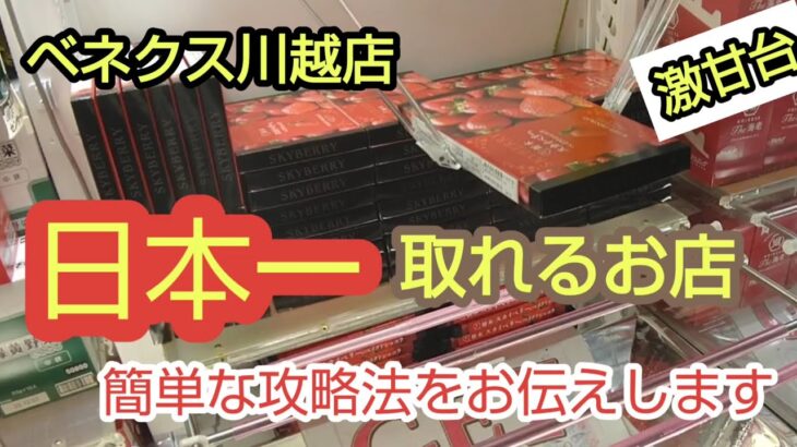 【ベネクス川越店】日本一取れるお店でクレーンゲームをやってみたらヤバかった