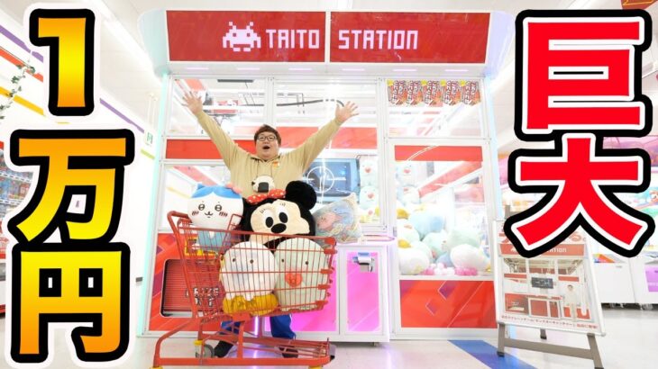 【超巨大】特大サイズのクレーンゲームに1万円で挑戦したら迫力がヤバすぎたwww