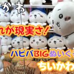 ＜ちいかわ＞これが現実さ！ ハピバBIGぬいぐるみ-ちいかわ(クレーンゲーム・UFOキャッチャー)