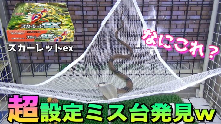 《設定ミス》日本一激安にポケカBOXが取れるクレーンゲームがヤバかったww【ポケモンカード／UFOキャッチャー】