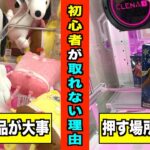 半額イベントをやってるクレーンゲームで乱獲しまくりたい！！！【クレーンゲーム・UFOキャッチャー】