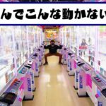 店員もビックリ‼クレーンゲーム激熱５本勝負‼宇宙一のゲームセンターエブリデイとってき屋東京本店ぼっち・ざ・ろっく！ちょこのせプレミアムフィギュア“後藤ひとり”