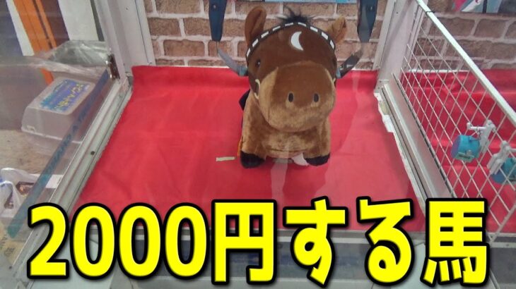 2000円する馬を簡単に取る方法がこちら【クレーンゲーム／UFOキャッチャー】