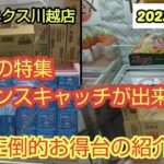 【月刊ベネクス川越店】クレーンゲーム日本一のお店はバランスキャッチも日本一出来る #2023年6月