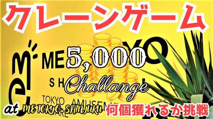 【クレーンゲーム Log42】5000円で景品何個獲れるか挑戦 at ミー東京新宿 【METOKYOSHINJUKU】