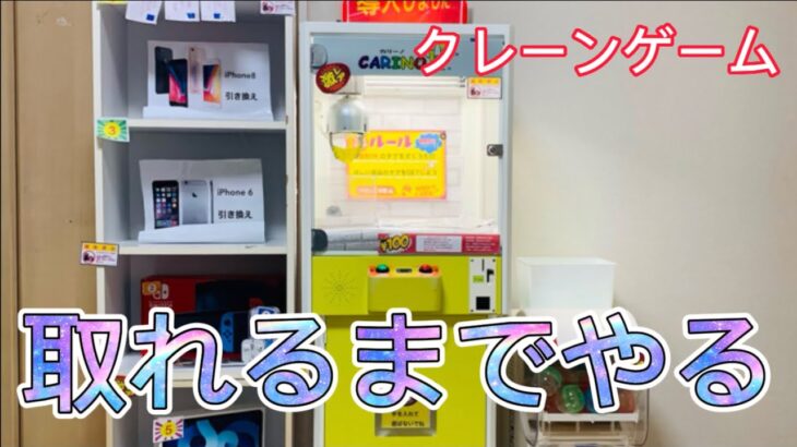 【確率機】Switchが景品のクレーンゲーム取れるまでやってみた!!