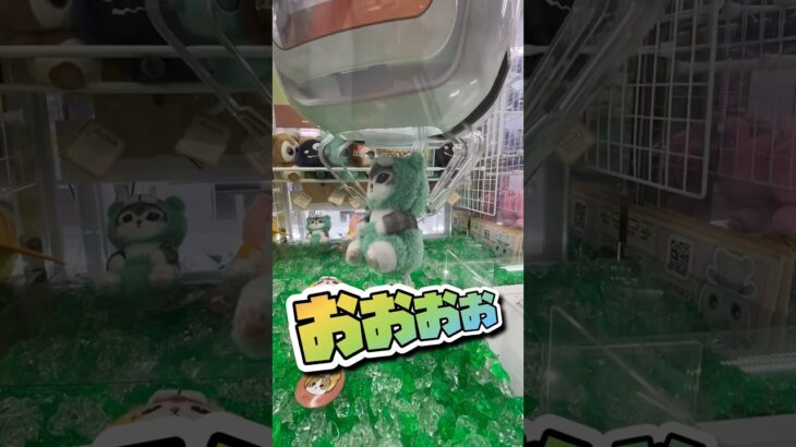 モフサンドくまにゃん　いけるかー　#クレーンゲーム #ufoキャッチャー #clawmachine