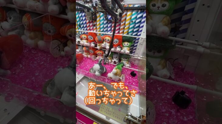 モフサンドのおにぎりにゃん店員さん神アシストでゲット〜　#クレーンゲーム #ufoキャッチャー #clawmachine