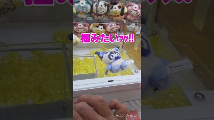 【クレーンゲーム】ラス１パンダ着ぐるみ🐼クロミちゃん