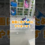 めっちゃ優良台見つけた！４手で２つ攻略！アンパンマンポーチ クレーンゲーム UFOキャッチャー #Shorts