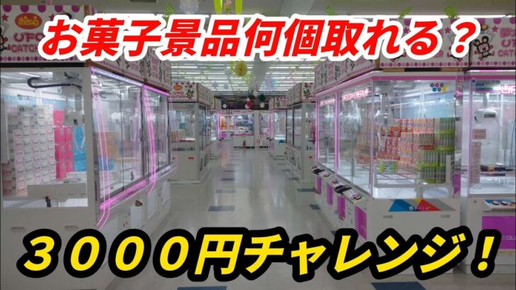 [クレーンゲーム] 挑戦！3000円で景品何個取れる？