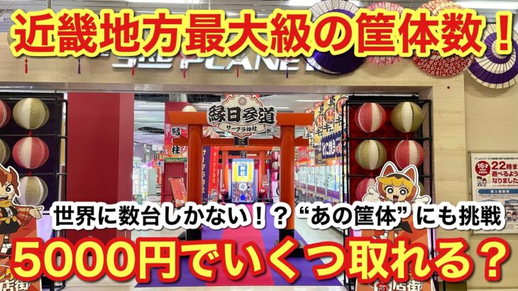 【クレーンゲーム】近畿地方最大級の筐体数！　5000円でいくつ取れる？ -世界に数台しかない！？ “あの筐体”にも挑戦- @サープラ京都店