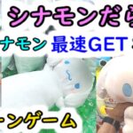 【BIGシナモンだらけ！（サンリオ  クレーンゲーム）】シナモンぬいぐるみ 最速簡単GETの攻略法！