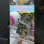 [クレーンゲーム] トガちゃんのフィギュア景品に挑戦！ #Shorts