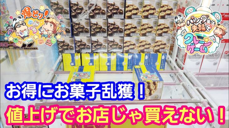 UFOキャッチャー 値上げでお店じゃ買えないからお菓子乱獲します！【パンダ先生夫婦のクレーンゲーム】