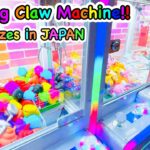 Various Claw Machine in Japan !! Interesting win!! かわいい景品 UFOキャッチャー【クレーンゲーム】