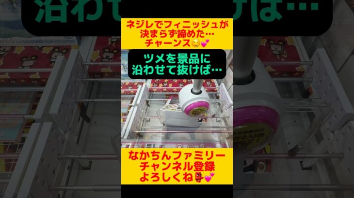 なぜ諦めたかさえわかれば…🤤💕#クレーンゲーム #ufoキャッチャー #ゲームセンター #攻略 #clawmachine #ハイエナ #一手 #たべっ子どうぶつ