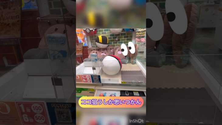 【クレーンゲーム】ココ狙うしか思いつかん‼︎モーリーファンタジーでポケモンぬいぐるみに挑戦‼︎