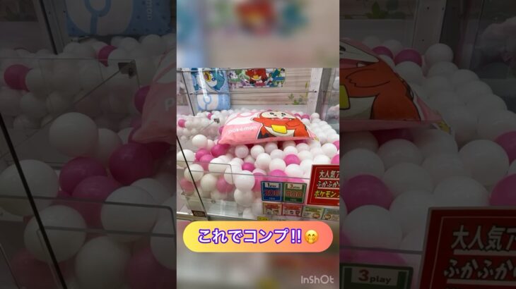 【クレーンゲーム】これで3種コンプリート‼︎楽市楽座でポケモンのクッションに挑戦‼︎